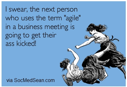 two women fighting, cause: the word "agile"